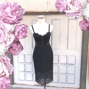 Express Knee high lace  dress